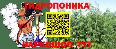 гидропоника Можга