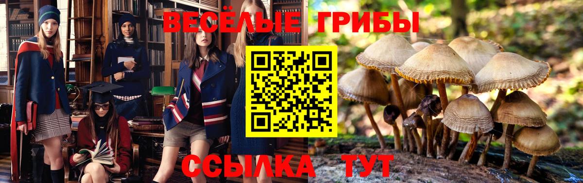 Химки  Псилоцибиновые грибы мухоморы  Вход с VPN 